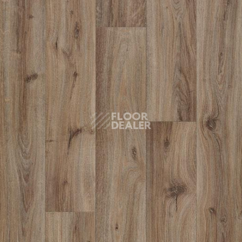 Линолеум Forbo Eternal Wood 10852 chocolate oak фото 1 | FLOORDEALER